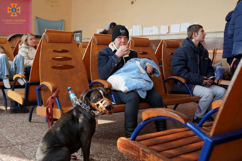 Закарпатські рятувальники зустріли евакуаційний потяг зі сходу України
7 родин, які до останнього не полишали...
