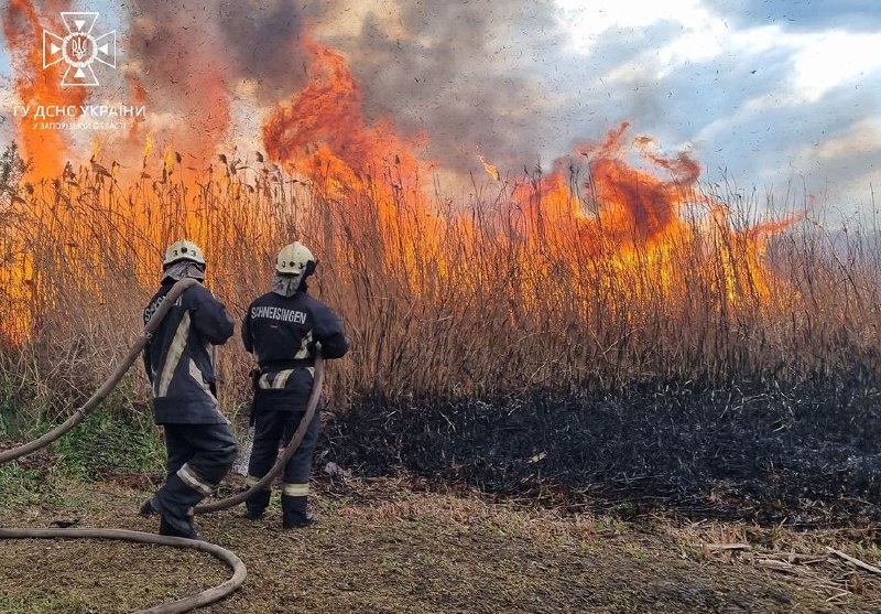 В Україні фіксується збільшення пожеж в екосистемах🔥

⏺ За минулу добу рятувальники Черкащини ліквідували...