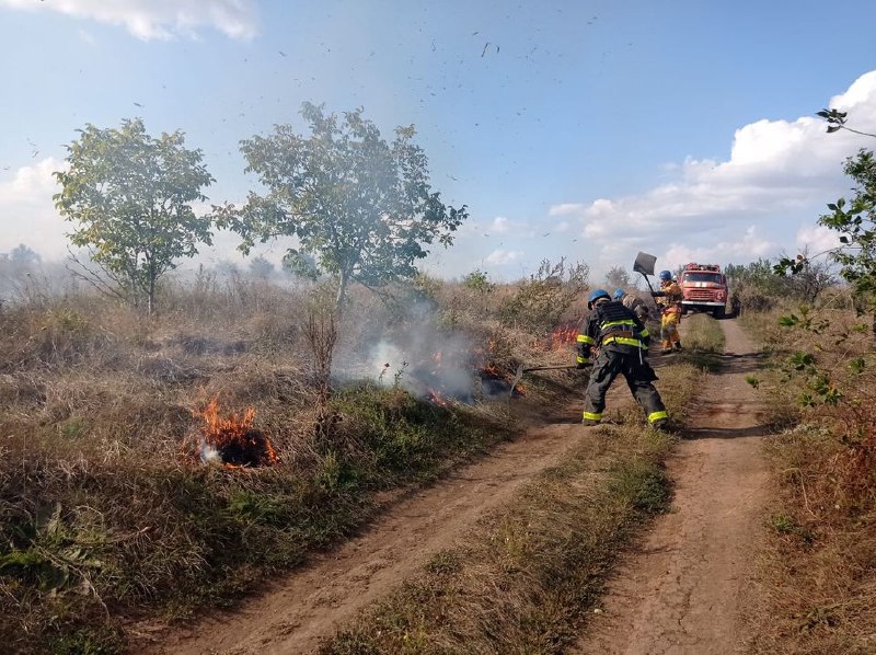 🔥 Донеччина: протягом минулої доби рятувальники ліквідували 4 пожежі, спричинені ворожими обстрілами