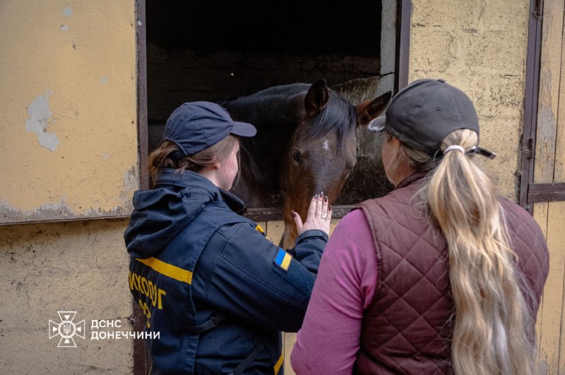 🐎 Іпотерапія як шлях до відновлення
Психологічна підтримка рятувальників Донеччини — важлива складова турботи про тих 🐎 Іпотерапія як шлях до відновлення
Психологічна підтримка рятувальників Донеччини — важлива складова турботи про тих