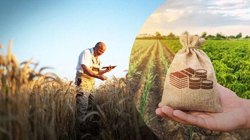 Кабмін посилює підтримку аграріїв на прифронтових територіях: оптимізація грантів і нові дотації Кабмін посилює підтримку аграріїв на прифронтових територіях: оптимізація грантів і нові дотації