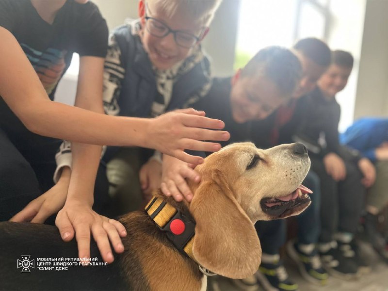 🐕 Рятувальники разом із чотирилапим помічником Тото завітали до юннатів гуртка «Природа навколо нас» 🐕 Рятувальники разом із чотирилапим помічником Тото завітали до юннатів гуртка «Природа навколо нас»
