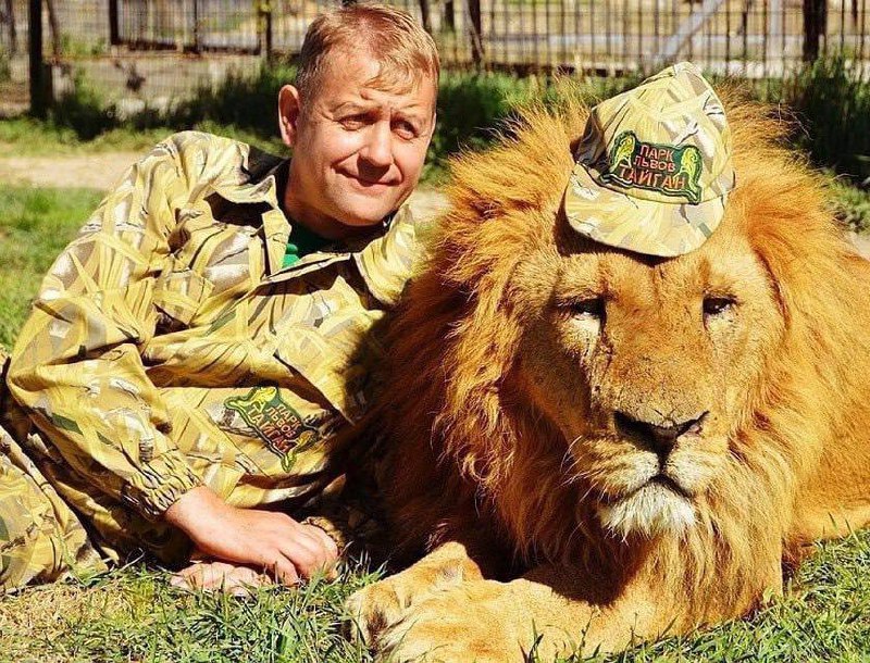 🦁Вивезений лев з Маріуполя напав на власника кримського зоопарку
😱У кримському зоопарку "Тайгані" 🦁Вивезений лев з Маріуполя напав на власника кримського зоопарку
😱У кримському зоопарку "Тайгані"