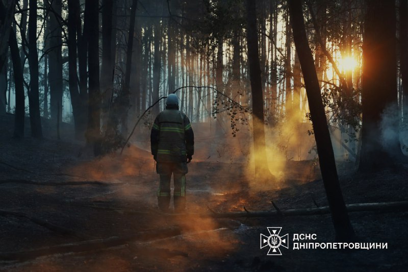 #фото_тижня
Крізь туман і дим пробивається світло — так, як крізь наші втрати і випробування проростає майбутнє України #фото_тижня
Крізь туман і дим пробивається світло — так, як крізь наші втрати і випробування проростає майбутнє України