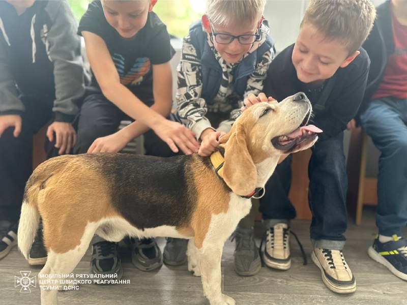 🐕 Рятувальники разом із чотирилапим помічником Тото завітали до юннатів гуртка «Природа навколо нас» 🐕 Рятувальники разом із чотирилапим помічником Тото завітали до юннатів гуртка «Природа навколо нас»