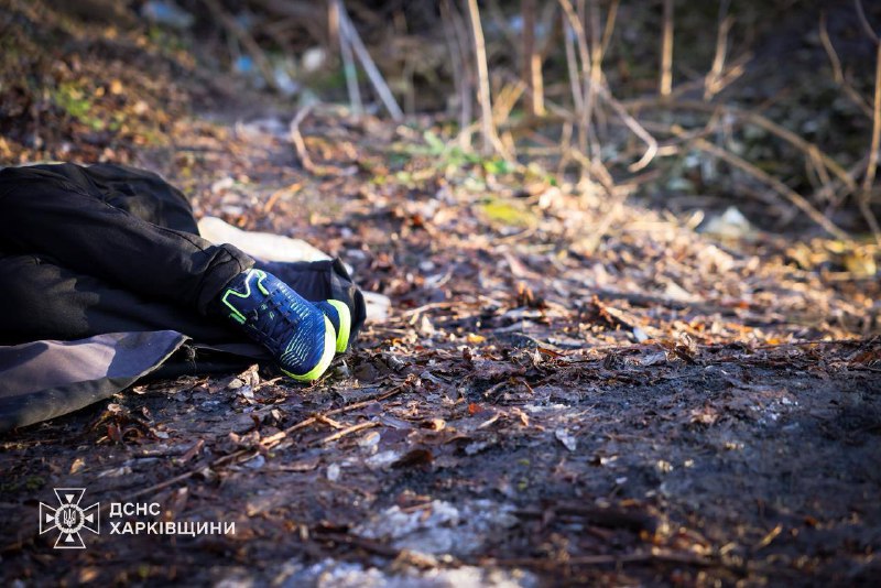 #фото_тижня
Коли ми дивимося на це фото, мурахи по шкірі біжать і досі. Бо йдеться про найдорожче у світі #фото_тижня
Коли ми дивимося на це фото, мурахи по шкірі біжать і досі. Бо йдеться про найдорожче у світі