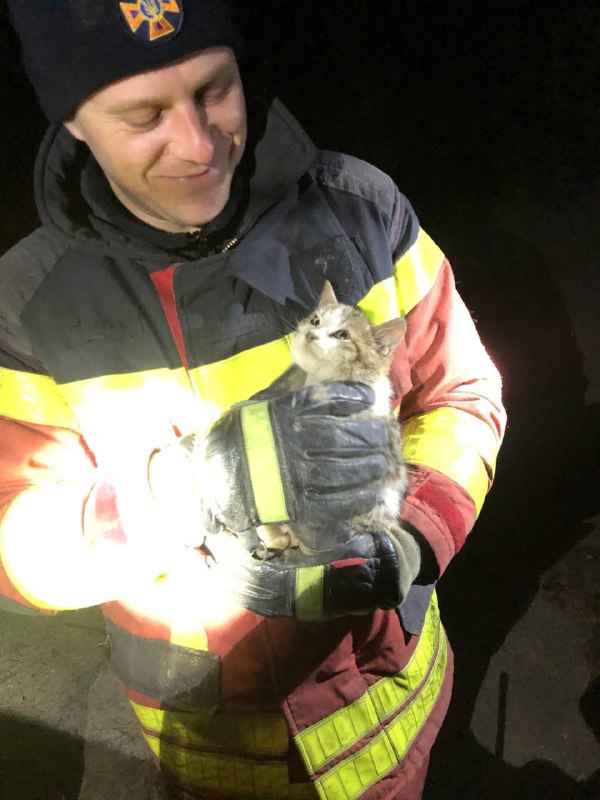 Ловіть гарну новину у цей вихідний – порятунок маленького кошеня запорізькими надзвичайниками😻 Ловіть гарну новину у цей вихідний – порятунок маленького кошеня запорізькими надзвичайниками😻