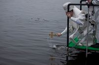 Блаженніший Святослав на Богоявлення: «Відкриймо наше Божественне усиновлення, наше ім’я, записане на Божих долонях» Блаженніший Святослав на Богоявлення: «Відкриймо наше Божественне усиновлення, наше ім’я, записане на Божих долонях»