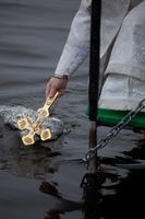 Блаженніший Святослав на Богоявлення: «Відкриймо наше Божественне усиновлення, наше ім’я, записане на Божих долонях» Блаженніший Святослав на Богоявлення: «Відкриймо наше Божественне усиновлення, наше ім’я, записане на Божих долонях»