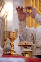 Владика Степан Сус: «Сьогоднішнє свято запрошує ще раз заглянути у власне християнське життя і подивитися, яким воно є» Владика Степан Сус: «Сьогоднішнє свято запрошує ще раз заглянути у власне християнське життя і подивитися, яким воно є»