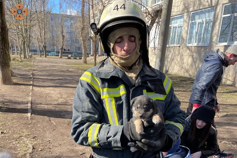 Рятуємо маленьких гарнюнь!🐕
⏺Вогнеборці Одещини та Дніпропетровщини допомогли двом малим бешкетникам, які впали в яму. Рятуємо маленьких гарнюнь!🐕
⏺Вогнеборці Одещини та Дніпропетровщини допомогли двом малим бешкетникам, які впали в яму.