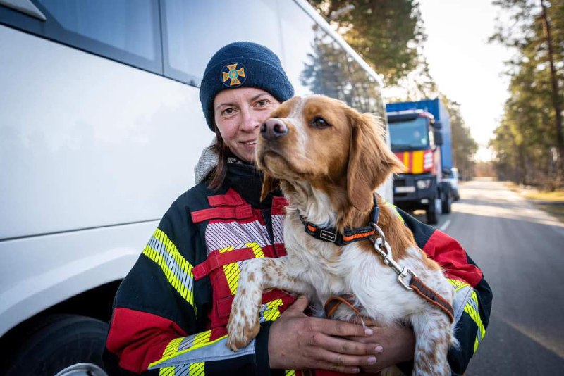 Наші пошуково-рятувальні “носики” повернулися з Туреччини🐕
🐾Понад тиждень українські рятувальники працювали... Наші пошуково-рятувальні “носики” повернулися з Туреччини🐕
🐾Понад тиждень українські рятувальники працювали...