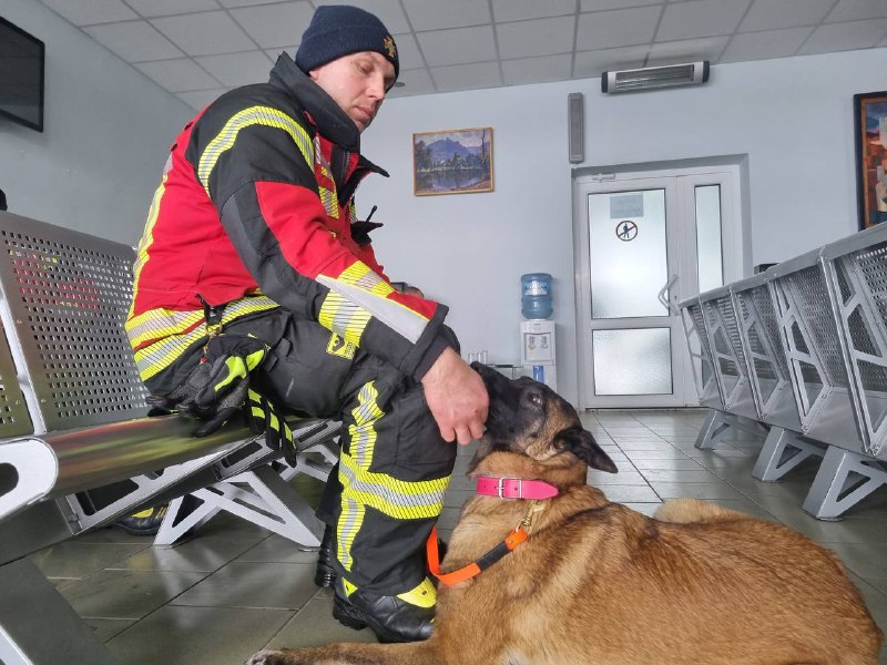 Наші пошуково-рятувальні “носики” повернулися з Туреччини🐕
🐾Понад тиждень українські рятувальники працювали... Наші пошуково-рятувальні “носики” повернулися з Туреччини🐕
🐾Понад тиждень українські рятувальники працювали...