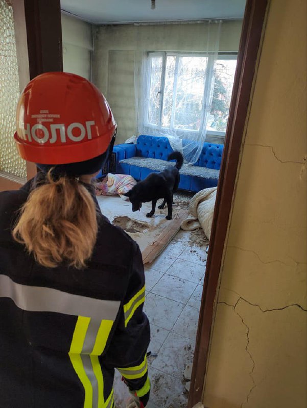 Наші пошуково-рятувальні “носики” повернулися з Туреччини🐕
🐾Понад тиждень українські рятувальники працювали... Наші пошуково-рятувальні “носики” повернулися з Туреччини🐕
🐾Понад тиждень українські рятувальники працювали...