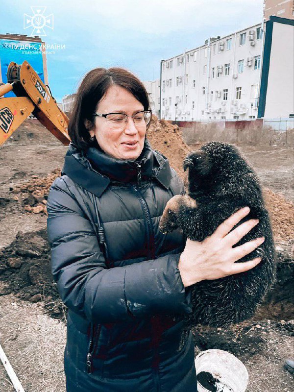 Рятуємо маленьких гарнюнь!🐕
⏺Вогнеборці Одещини та Дніпропетровщини допомогли двом малим бешкетникам, які впали в яму. Рятуємо маленьких гарнюнь!🐕
⏺Вогнеборці Одещини та Дніпропетровщини допомогли двом малим бешкетникам, які впали в яму.