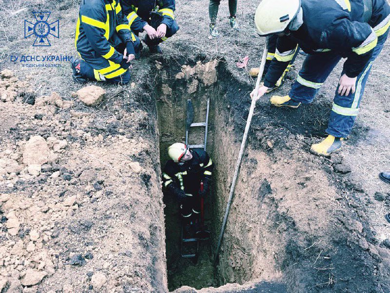 Рятуємо маленьких гарнюнь!🐕
⏺Вогнеборці Одещини та Дніпропетровщини допомогли двом малим бешкетникам, які впали в яму. Рятуємо маленьких гарнюнь!🐕
⏺Вогнеборці Одещини та Дніпропетровщини допомогли двом малим бешкетникам, які впали в яму.