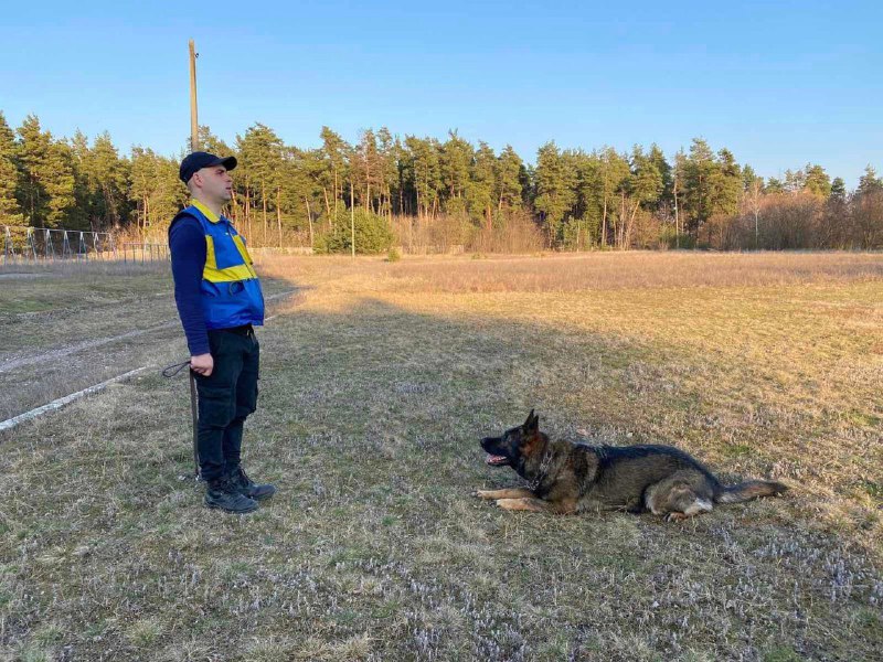 Наші рятувальні “носики” також тренуються🐕
⏺Аби бути завжди у відмінній формі наші службові собаки також постійно відпрацьовують свої вміння Наші рятувальні “носики” також тренуються🐕
⏺Аби бути завжди у відмінній формі наші службові собаки також постійно відпрацьовують свої вміння