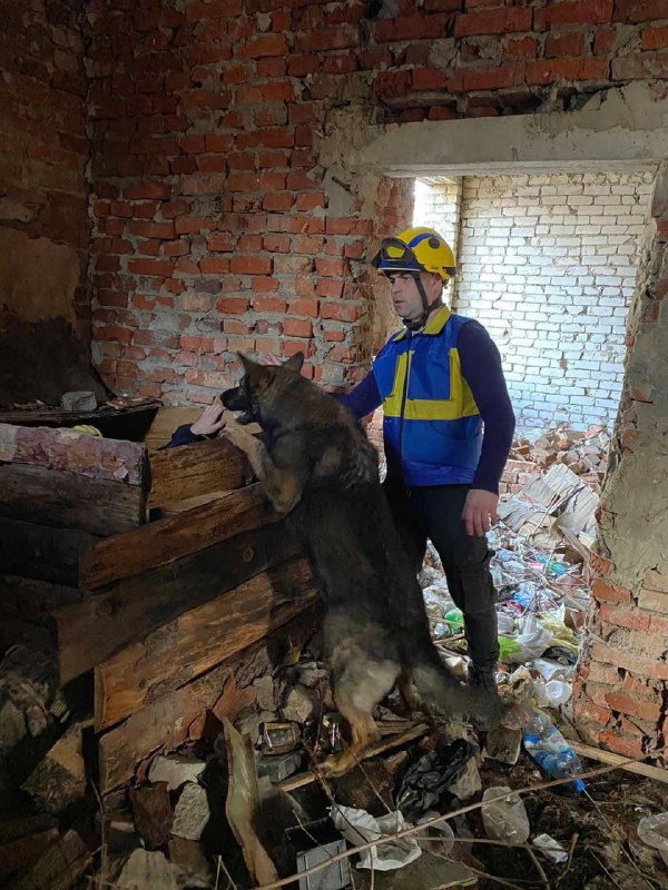 Наші рятувальні “носики” також тренуються🐕
⏺Аби бути завжди у відмінній формі наші службові собаки також постійно відпрацьовують свої вміння Наші рятувальні “носики” також тренуються🐕
⏺Аби бути завжди у відмінній формі наші службові собаки також постійно відпрацьовують свої вміння