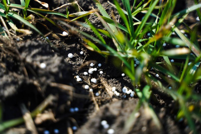 Наші аграрії підтримують продовольчу безпеку не тільки України, а й світу Наші аграрії підтримують продовольчу безпеку не тільки України, а й світу