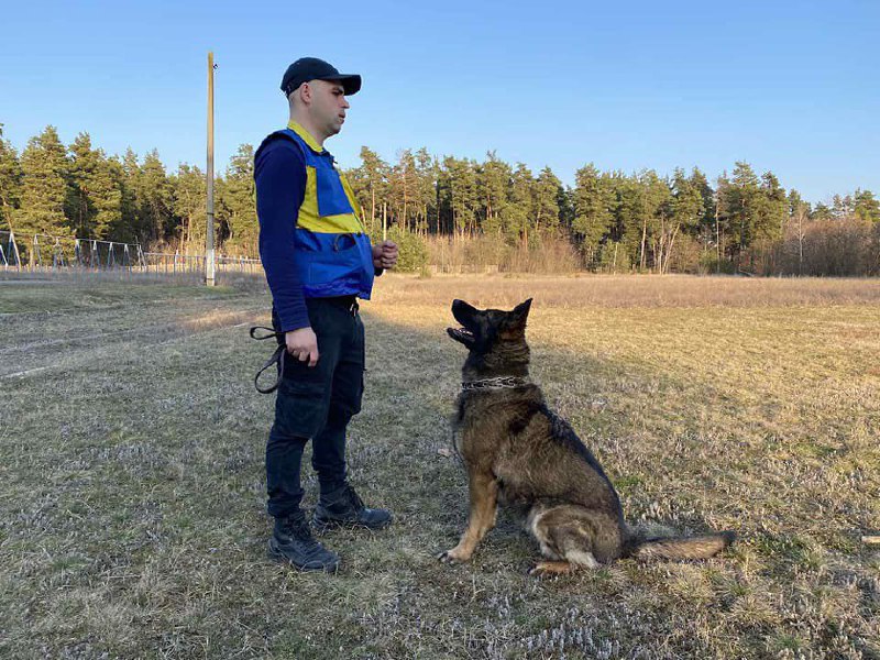 Наші рятувальні “носики” також тренуються🐕
⏺Аби бути завжди у відмінній формі наші службові собаки також постійно відпрацьовують свої вміння Наші рятувальні “носики” також тренуються🐕
⏺Аби бути завжди у відмінній формі наші службові собаки також постійно відпрацьовують свої вміння