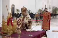 Глава УГКЦ католикам Європи: Дякуємо за&nbsp;вашу щоденну молитву і&nbsp;солідарність, яка реально рятує життя 