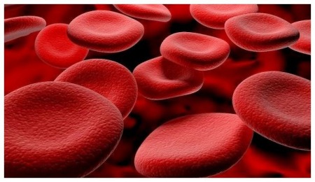 "Науково доведено: молитва змінює кров людини!" - отець Василь Германюк "Науково доведено: молитва змінює кров людини!" - отець Василь Германюк