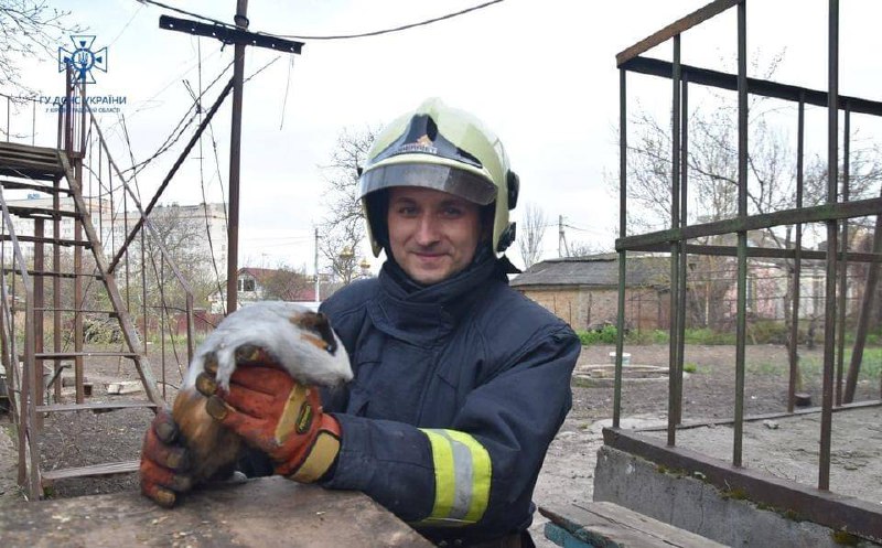 Добрі вчинки маленькими не бувають — допомагаємо всім! 🫶
В Одесі рятувальники за допомогою спеціального... Добрі вчинки маленькими не бувають — допомагаємо всім! 🫶
В Одесі рятувальники за допомогою спеціального...