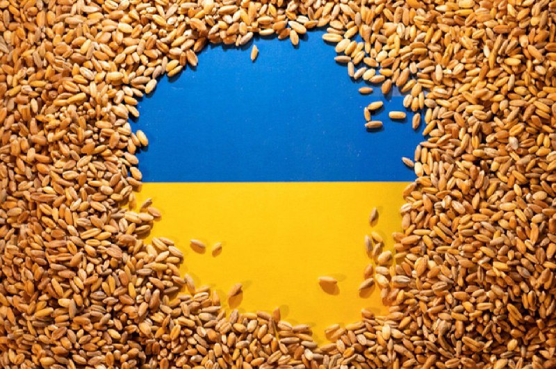 Відзавтра відновлюється транзит українського зерна через Польщу. Також Україна і Туреччина домовились про... Відзавтра відновлюється транзит українського зерна через Польщу. Також Україна і Туреччина домовились про...