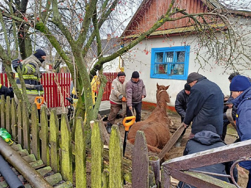 На Рівненщині рятувальники допомогли визволити коня з пастки🐴
⏺До надзвичайників звернулися громадяни і повідомили На Рівненщині рятувальники допомогли визволити коня з пастки🐴
⏺До надзвичайників звернулися громадяни і повідомили