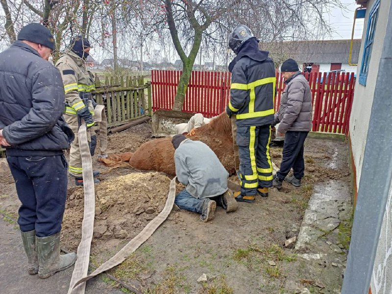 На Рівненщині рятувальники допомогли визволити коня з пастки🐴
⏺До надзвичайників звернулися громадяни і повідомили На Рівненщині рятувальники допомогли визволити коня з пастки🐴
⏺До надзвичайників звернулися громадяни і повідомили