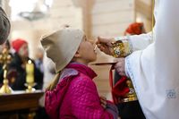 Шлях від смерті до&nbsp;життя: свідчення владики Максима Рябухи