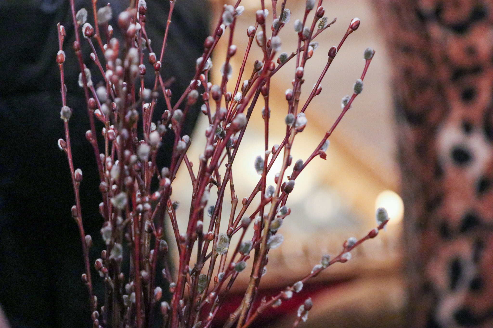 «Сьогоднішня неділя вчить нас і заохочує плекати надію та довіру до Бога», – владика Володимир на Квітну неділю «Сьогоднішня неділя вчить нас і заохочує плекати надію та довіру до Бога», – владика Володимир на Квітну неділю