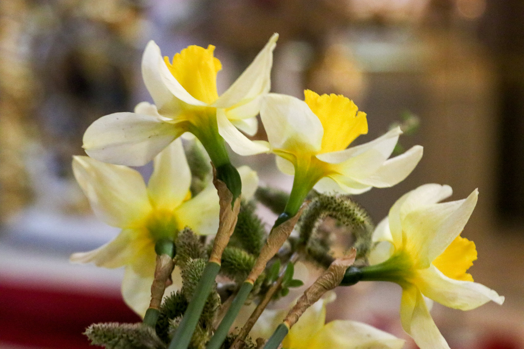 «Сьогоднішня неділя вчить нас і заохочує плекати надію та довіру до Бога», – владика Володимир на Квітну неділю «Сьогоднішня неділя вчить нас і заохочує плекати надію та довіру до Бога», – владика Володимир на Квітну неділю