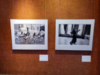 У Німеччині відбулася фотовиставка «Україна — життя під час війни» У Німеччині відбулася фотовиставка «Україна — життя під час війни»