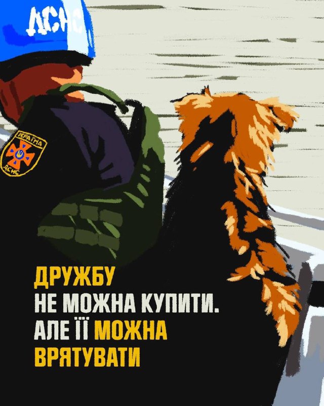 Рятуйте — даруйте шанс на життя 🙏🧡
Не забувайте про тварин, їм переживати обстріли та літню спеку значно важче... Рятуйте — даруйте шанс на життя 🙏🧡
Не забувайте про тварин, їм переживати обстріли та літню спеку значно важче...