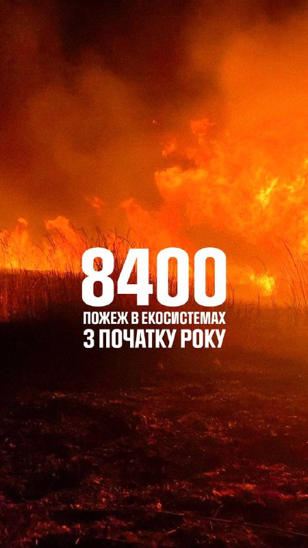 8400 пожеж виникло на відкритих територіях від початку року❗️
Цими вихідними, 1-2 липня 8400 пожеж виникло на відкритих територіях від початку року❗️
Цими вихідними, 1-2 липня