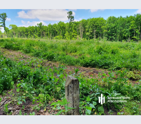 ДБР повідомило про підозру лісникам Вінниччини, які допустили збитки державі на 7 млн гривень ДБР повідомило про підозру лісникам Вінниччини, які допустили збитки державі на 7 млн гривень