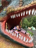 Патріарший паломницький центр провів перший заїзд Благодійного дитячого табору «Вільні діти» Патріарший паломницький центр провів перший заїзд Благодійного дитячого табору «Вільні діти»