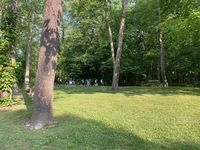 V Всеамериканська молодіжна проща об’єднала молодих українців із різних куточків США V Всеамериканська молодіжна проща об’єднала молодих українців із різних куточків США