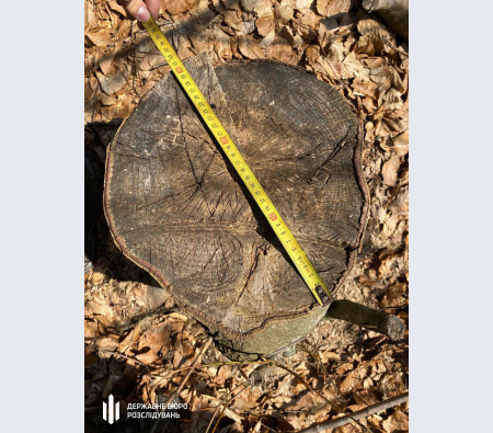 За матеріалами ДБР судитимуть двох екскерівників лісгоспу на Закарпатті, які допустили незаконну вирубку лісу на понад 50 млн грн За матеріалами ДБР судитимуть двох екскерівників лісгоспу на Закарпатті, які допустили незаконну вирубку лісу на понад 50 млн грн