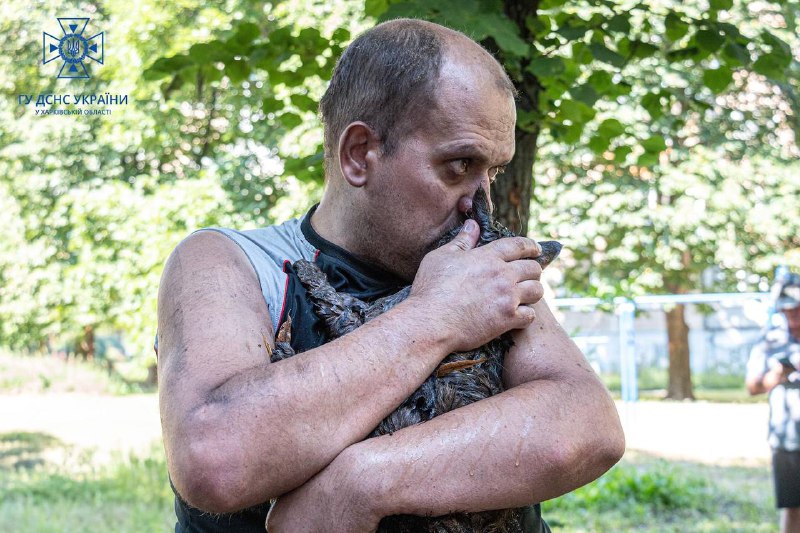 Якби цей котик вмів говорити, він би обов'язково подякував своїм рятувальникам! 😺 Якби цей котик вмів говорити, він би обов'язково подякував своїм рятувальникам! 😺