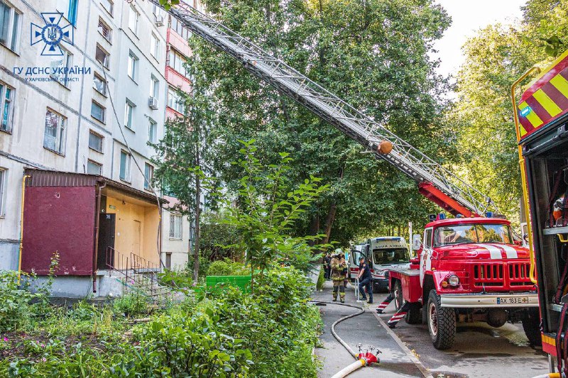 Якби цей котик вмів говорити, він би обов'язково подякував своїм рятувальникам! 😺 Якби цей котик вмів говорити, він би обов'язково подякував своїм рятувальникам! 😺