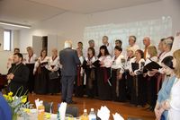 &laquo;Черпаймо силу із&nbsp;прикладу святих Петра та&nbsp;Павла&raquo;: у&nbsp;Мельбурнській катедрі відсвяткували храмовий празник