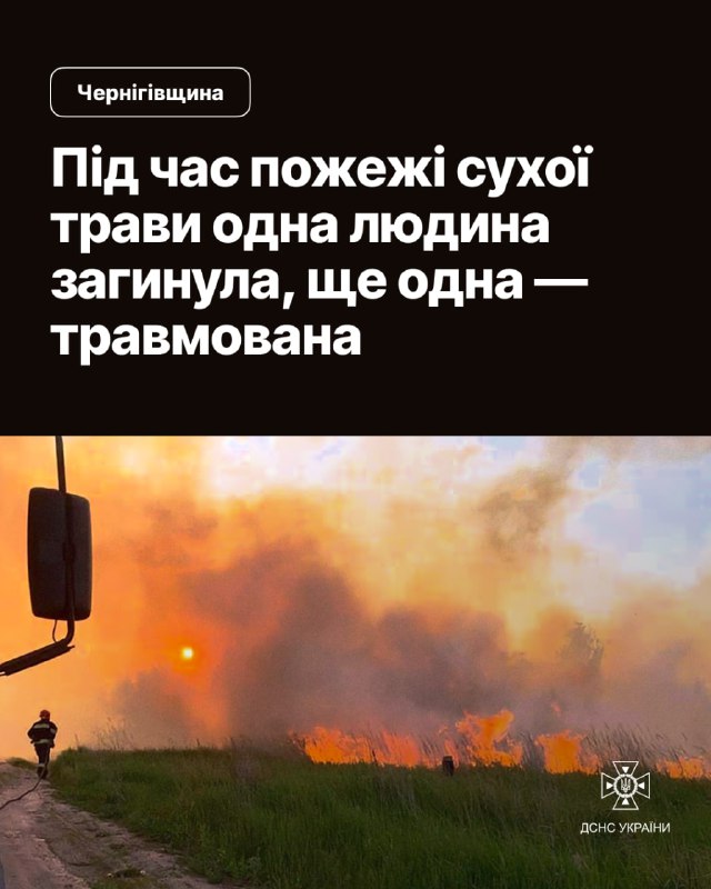 Чернігівщина: під час пожежі сухої трави одна людина загинула, ще одна - травмована Чернігівщина: під час пожежі сухої трави одна людина загинула, ще одна - травмована