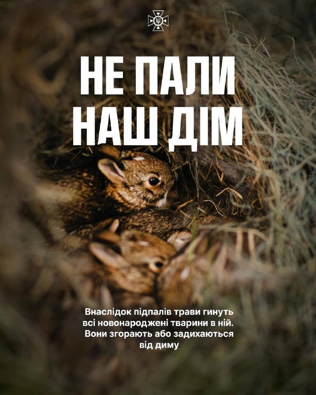 Припиніть безжально знищувати екосистему України!
🔥Понад 10 тисяч га згорілої землі Припиніть безжально знищувати екосистему України!
🔥Понад 10 тисяч га згорілої землі