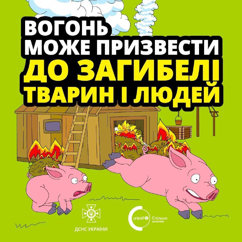 На жаль, деякі громадяни й досі практикують випалювання сухої трави, що часто призводить до масштабних пожеж На жаль, деякі громадяни й досі практикують випалювання сухої трави, що часто призводить до масштабних пожеж