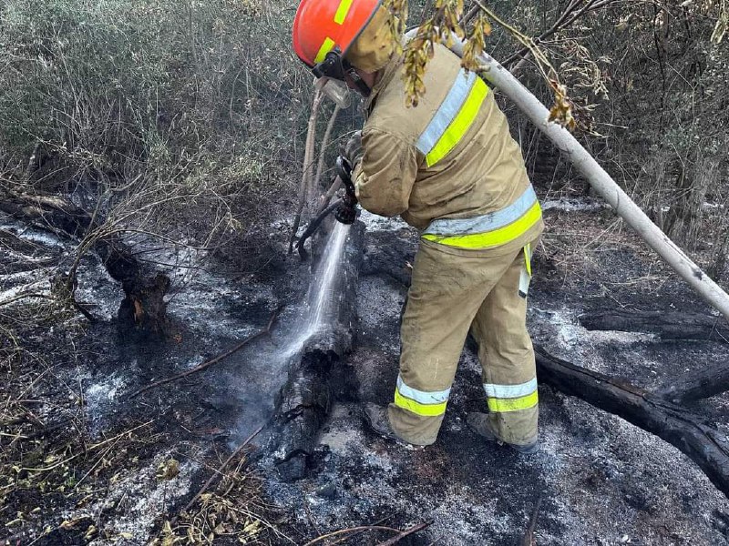 Вогнеборці та співробітники лісового господарства гасять низову пожежу хвойного настилу 15 Вогнеборці та співробітники лісового господарства гасять низову пожежу хвойного настилу 15