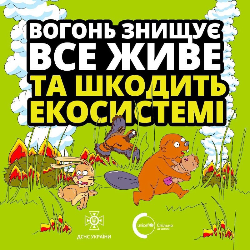 На жаль, деякі громадяни й досі практикують випалювання сухої трави, що часто призводить до масштабних пожеж На жаль, деякі громадяни й досі практикують випалювання сухої трави, що часто призводить до масштабних пожеж