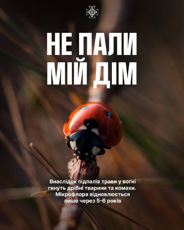 Припиніть безжально знищувати екосистему України!
🔥Понад 10 тисяч га згорілої землі Припиніть безжально знищувати екосистему України!
🔥Понад 10 тисяч га згорілої землі