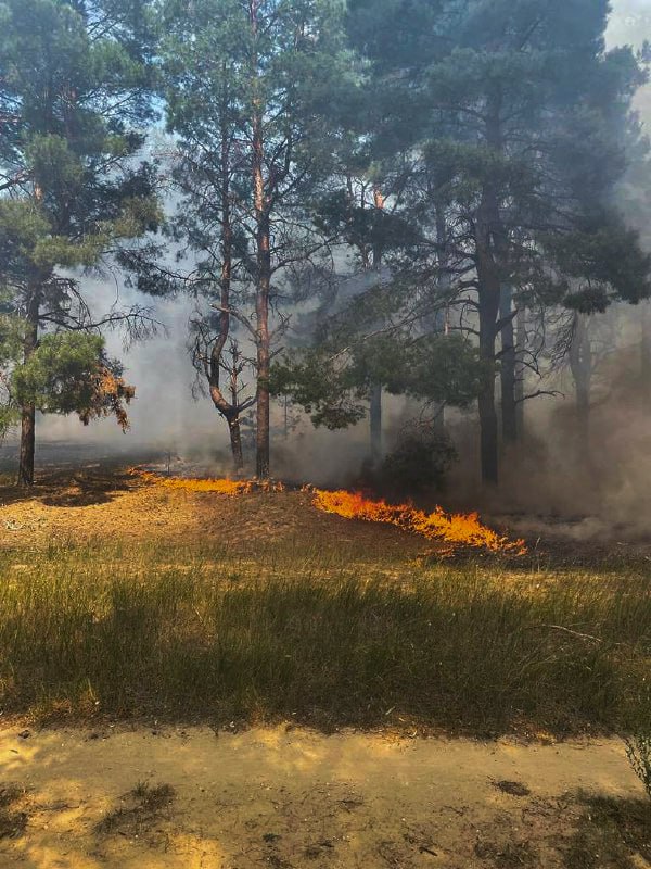 На Миколаївщині ліквідовано масштабну лісову пожежу ⤵️
Загорання виникло у Матвіївсько-Баловнянському лісовому урочищі на площі 6000 кв На Миколаївщині ліквідовано масштабну лісову пожежу ⤵️
Загорання виникло у Матвіївсько-Баловнянському лісовому урочищі на площі 6000 кв